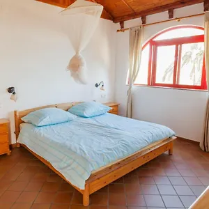 https://apartamentos-las-flores-tarifa.es-andalucia.com